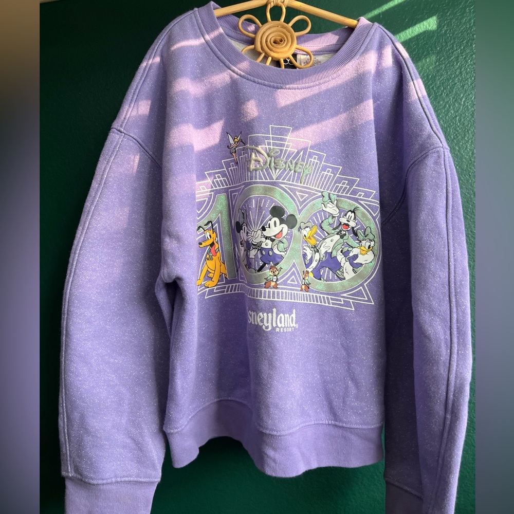 100 years Disneyland resort purple shimmer sweatshirt